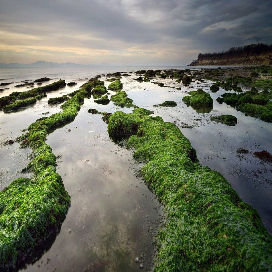 , Румен Паисиев