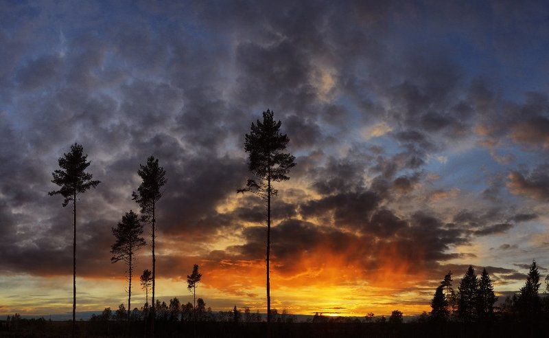 Тяга к жизни фото превью