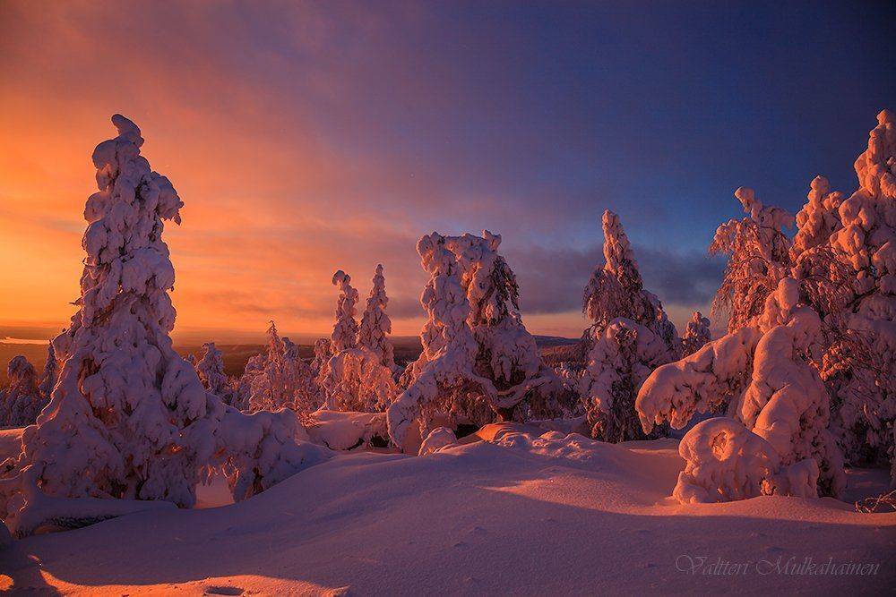 , Valtteri Mulkahainen