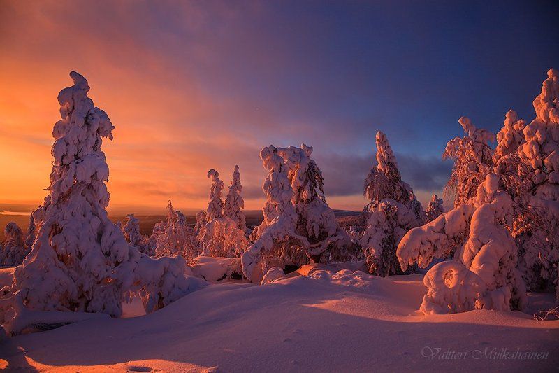 Вечернее солнце ... фото превью