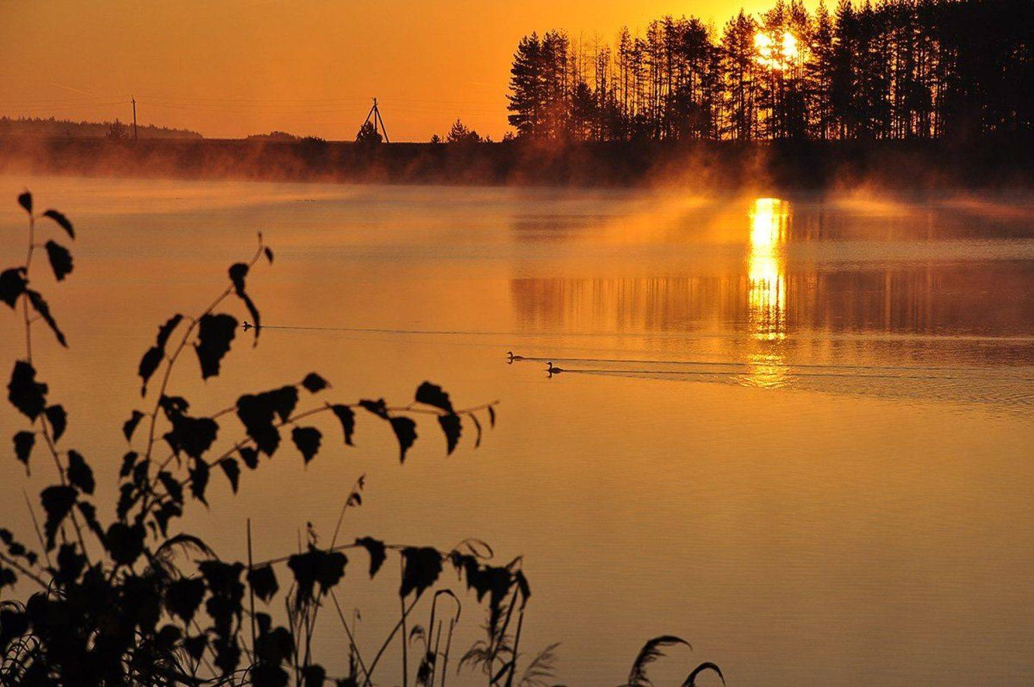 , Анатолий Зверев