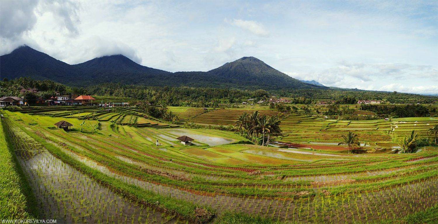 , Кокорев Илья