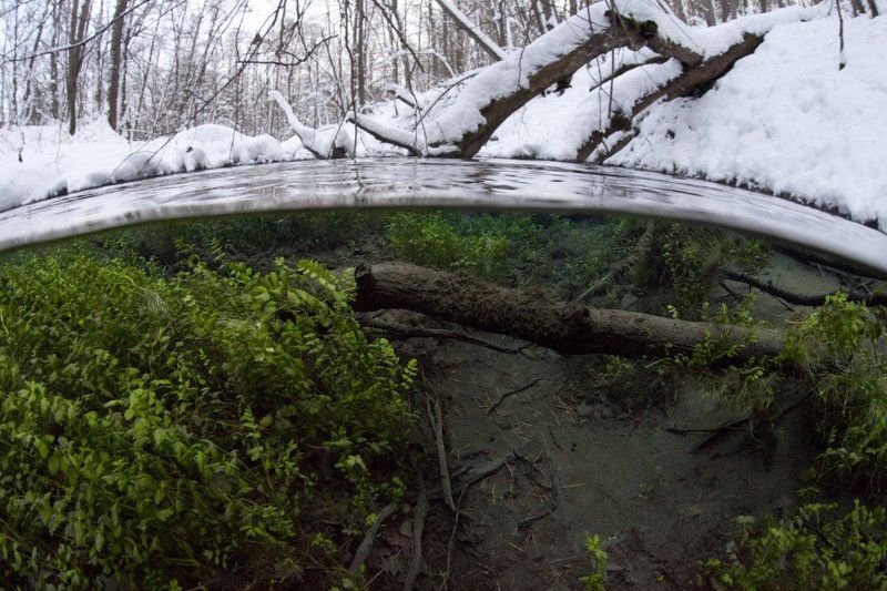 сплит,подводная фотография Зимний сплит фото превью