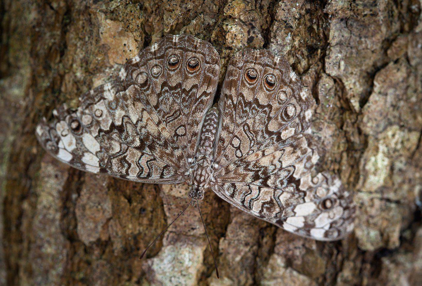, Андрей Канышев