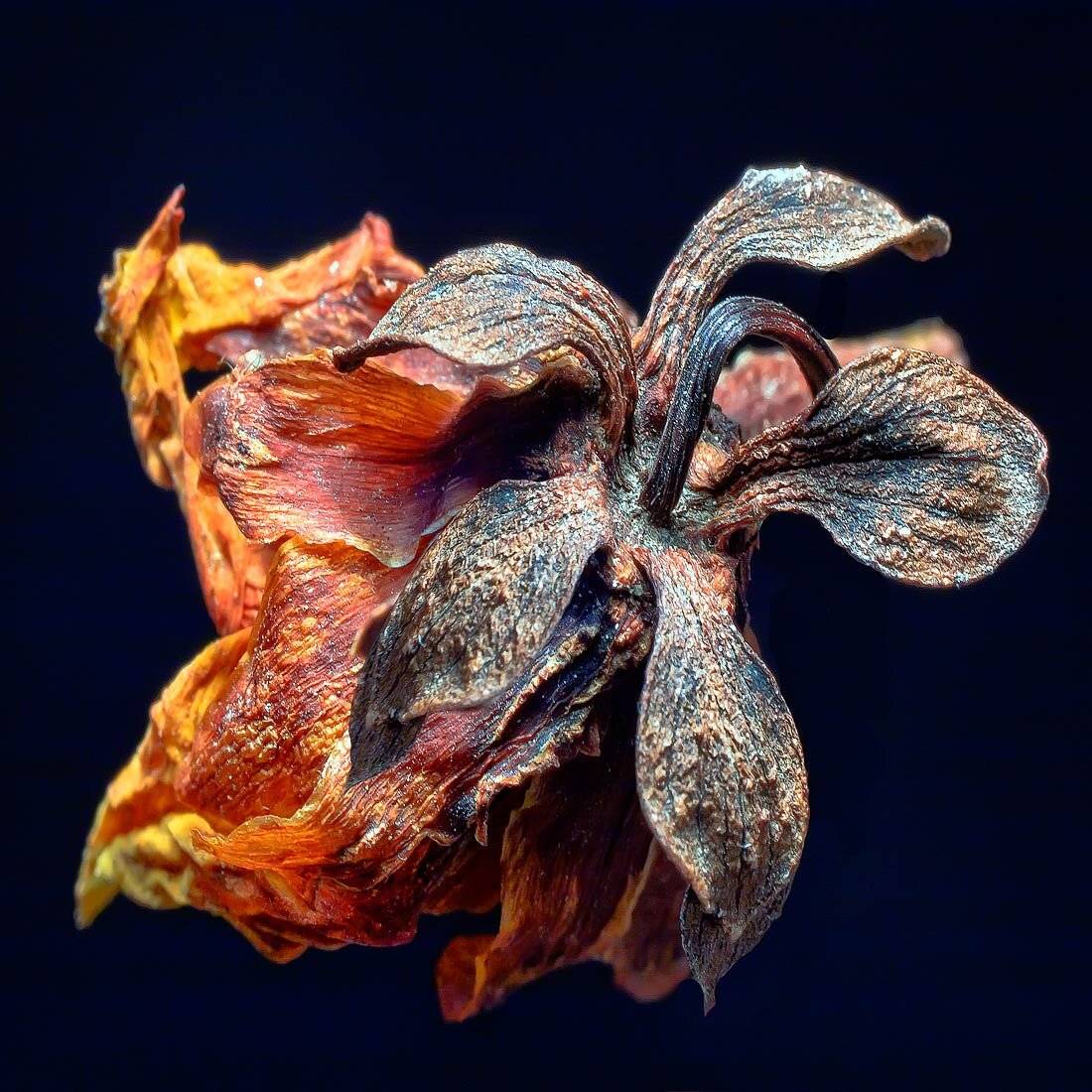 , Качурин Алексей