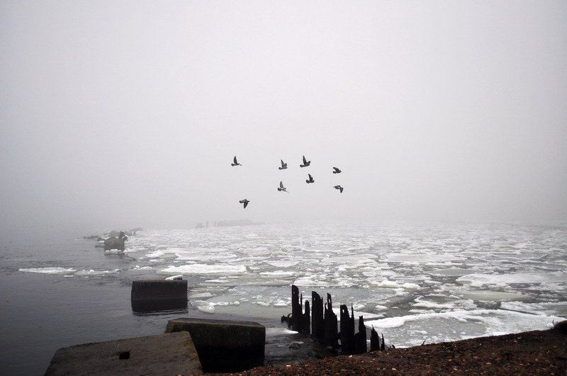 ... фото превью