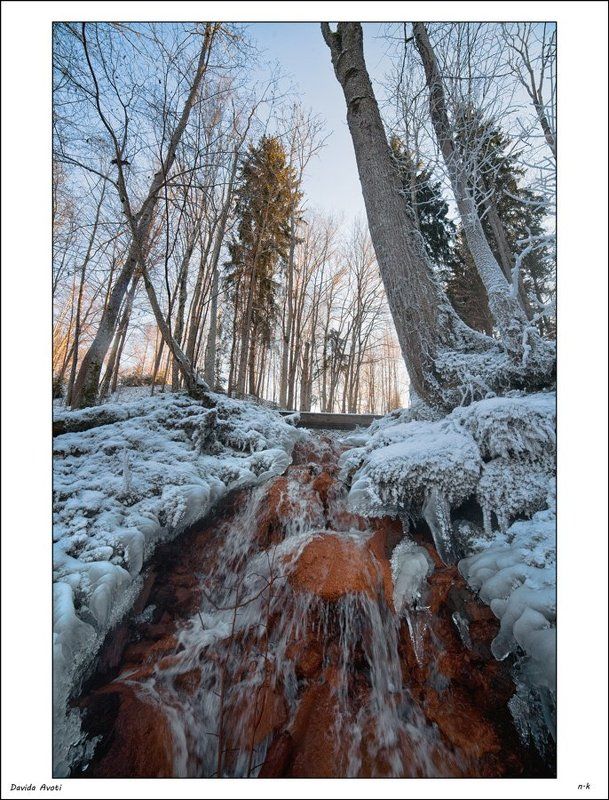 stream фото превью