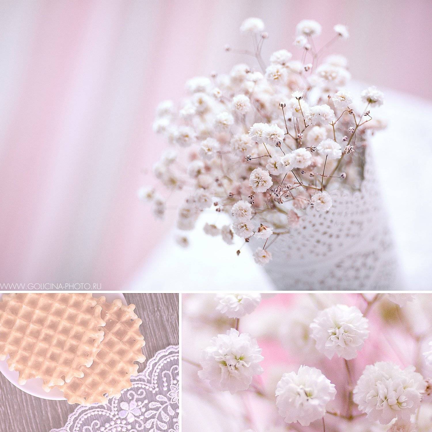 Коллаж, Печенье, Цветы, Svetlana Golicyna