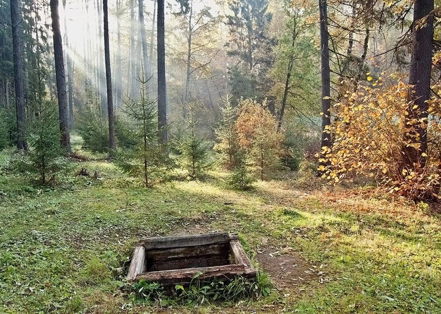 утро, лес, колодец, , ясная, поляна, Михаил Агеев