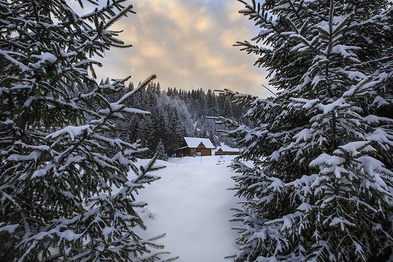 Хорошо иметь домик в деревне! фото превью