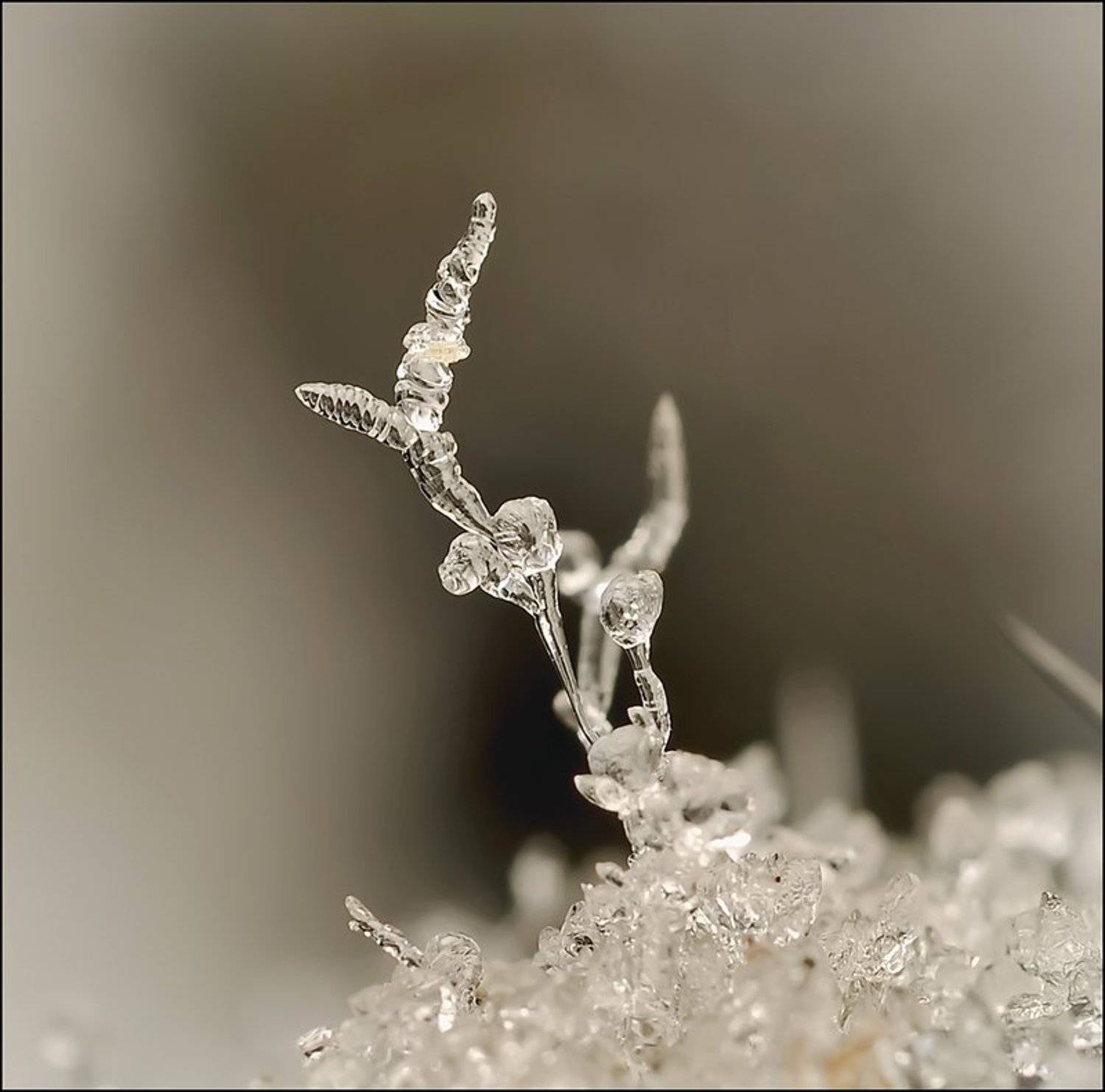 , Андрей Осокин