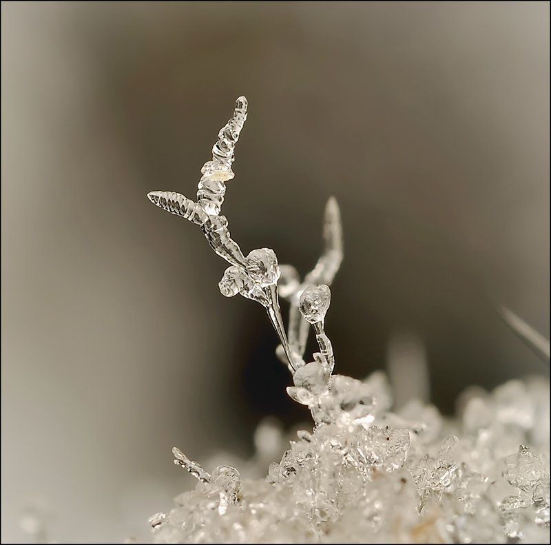 Акробаты на отдыхе... фото превью