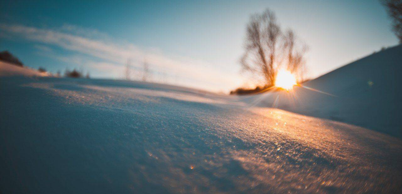 , Воронин Вова