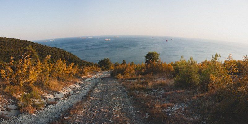 wind фото превью