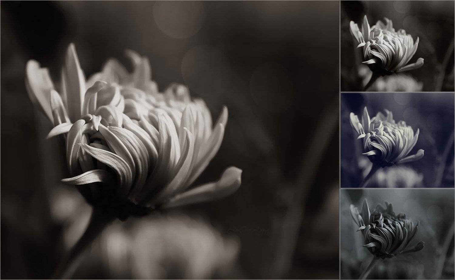 , Наталья Кузнецова (Nateletro)