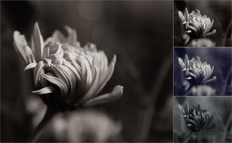 ~***~ фото превью