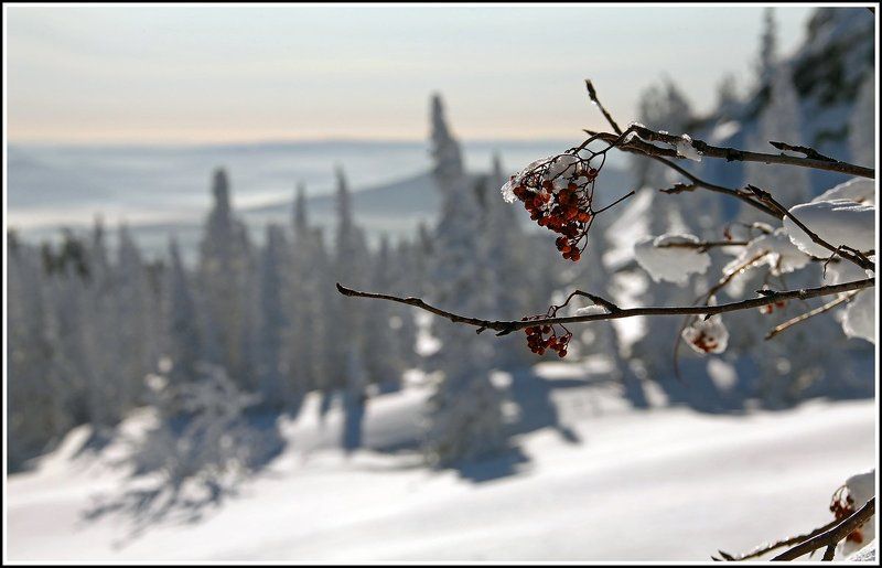 Зимняя зарисовка ... фото превью