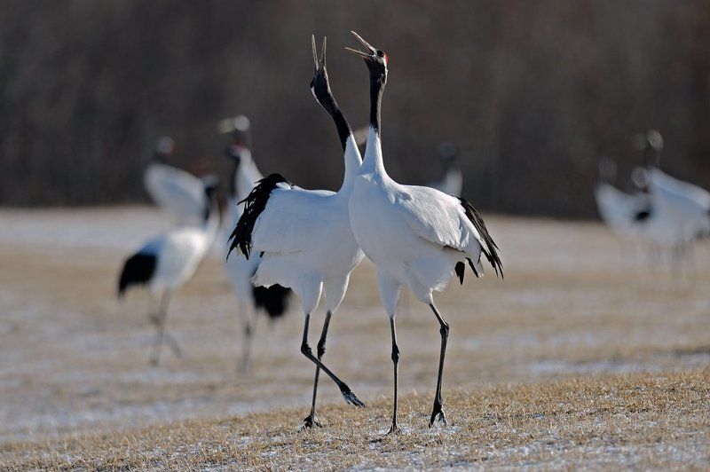 Love story фото превью