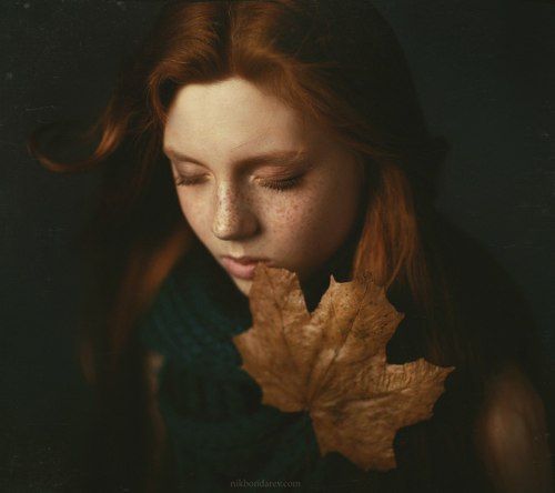 maple