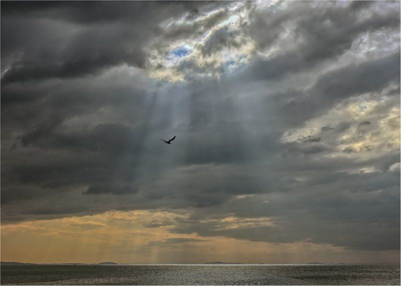 Между тучами и морем гордо реет Буревестник, черной молнии подобный. фото превью