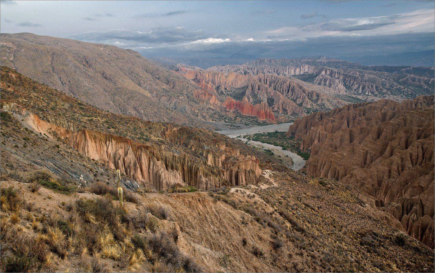 , Алексеевич