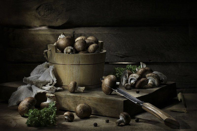 ГРИБНАЯ СЕРИЯ фото превью