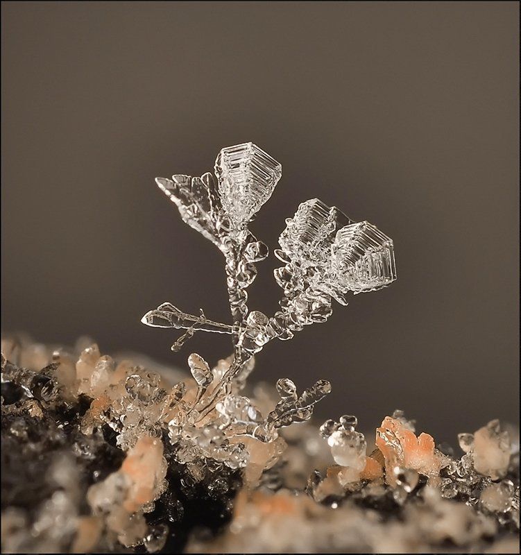 Ёлки-палки постовой... фото превью