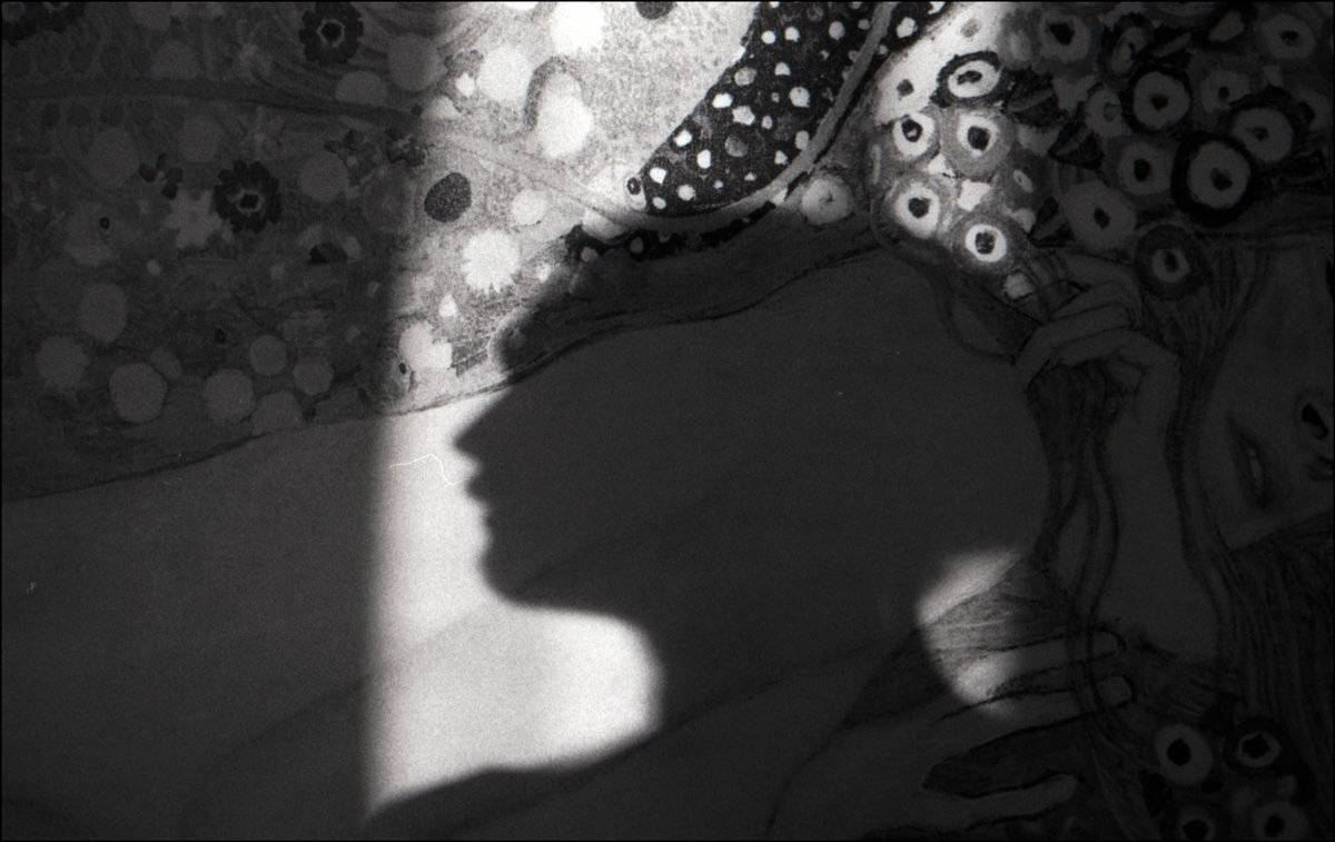 тарбеев, tarbeev, тень, Bobby