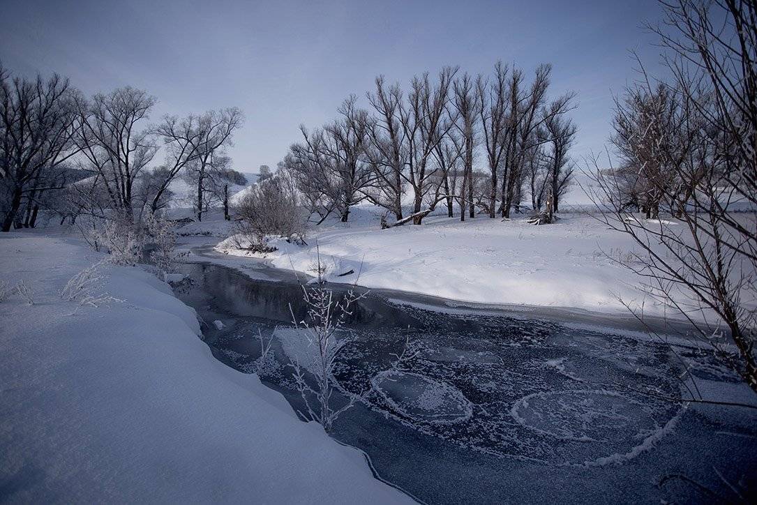 , Максим Филипов