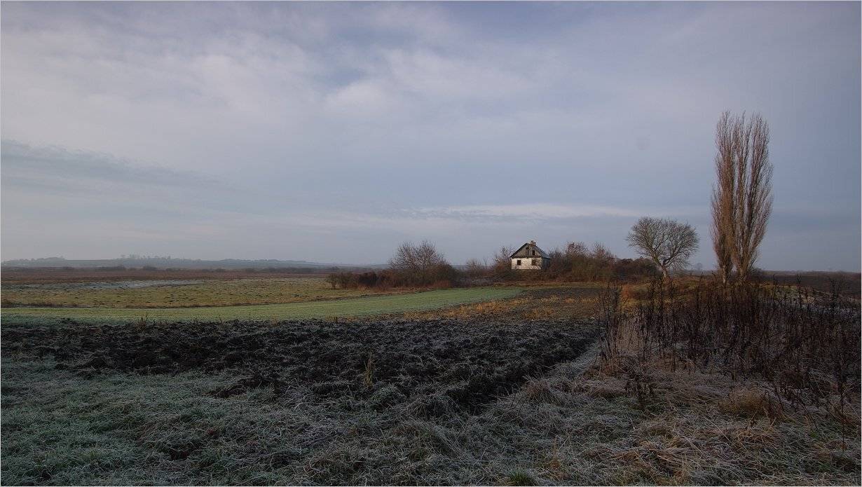 , Николай Шахманцир