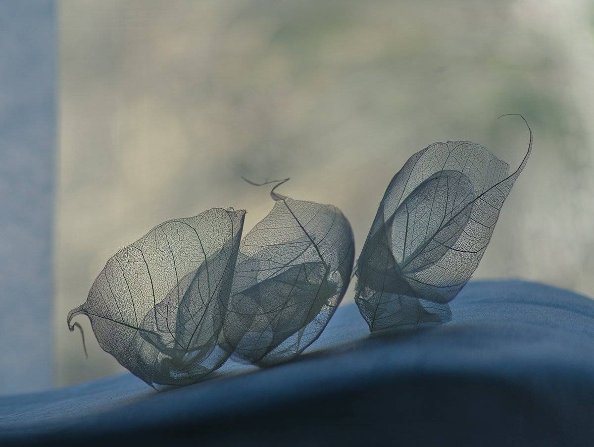 , Таня  Маркова