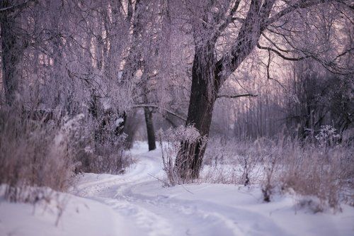 Зимние открытки
