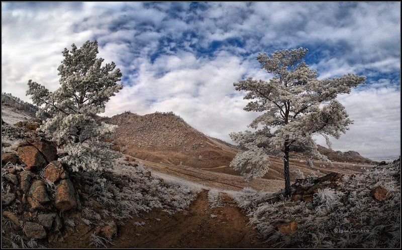 Ворота в сказку фото превью