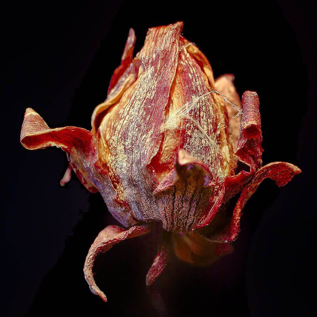 , Качурин Алексей