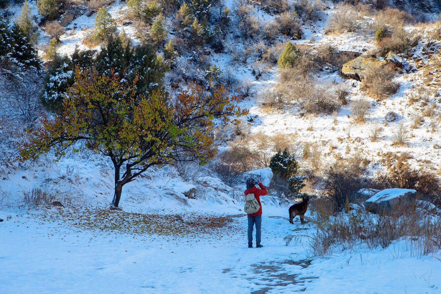 кыргызстан, горы, Элина Магалимова