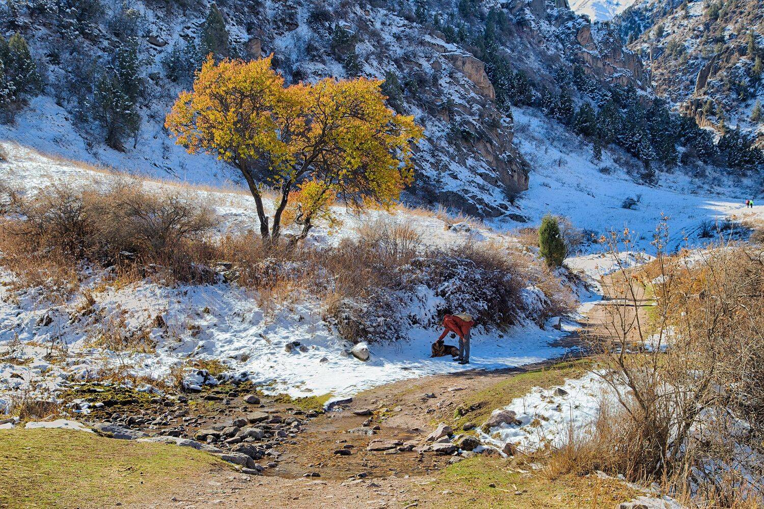 кыргызстан, горы, Элина Магалимова