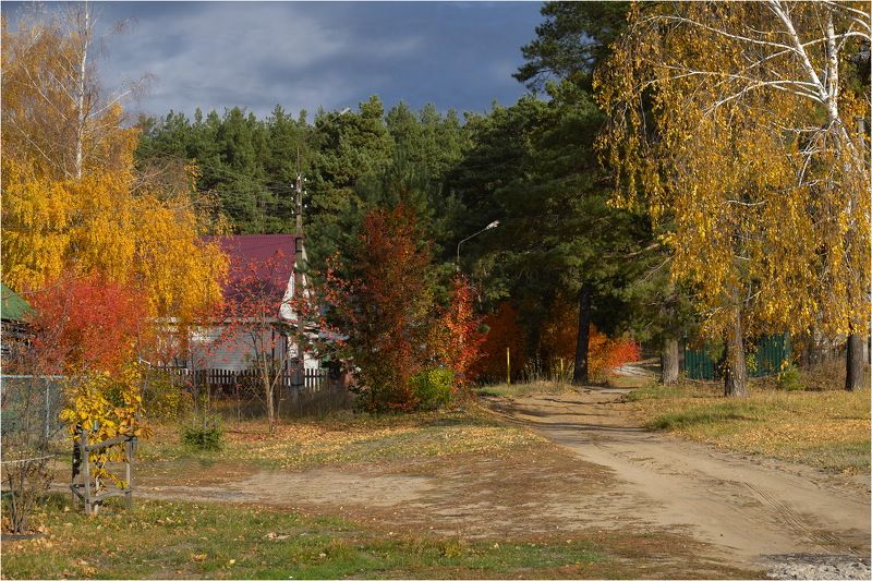 Дорога в лес фото превью