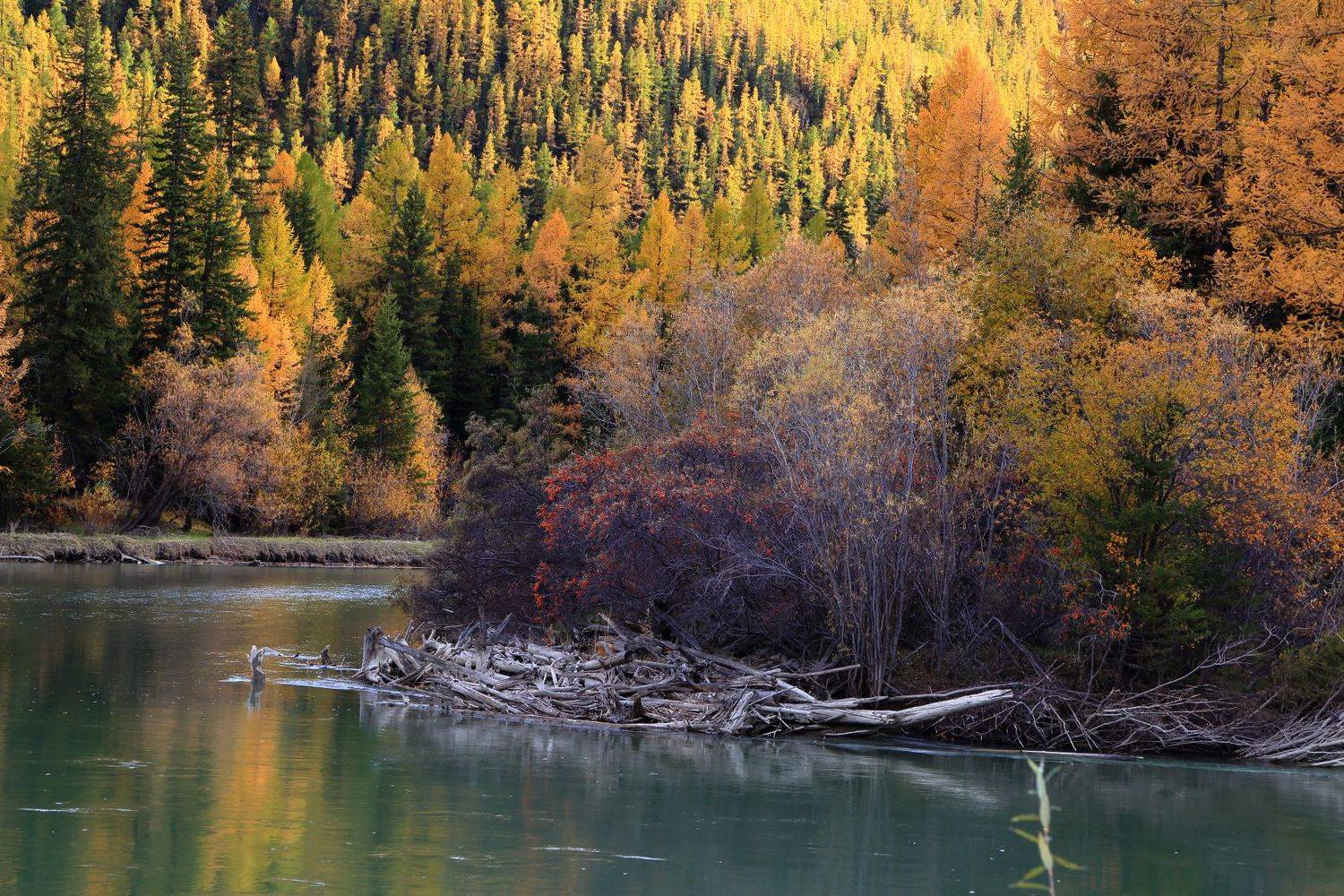 , Евгений Зинов
