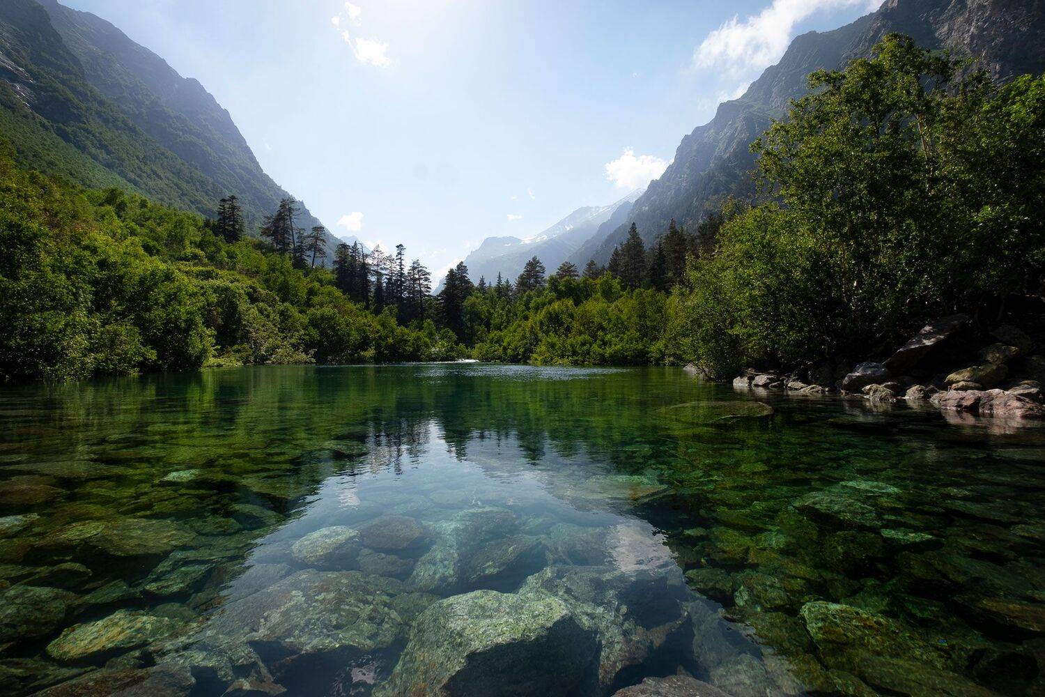 , Роман Грушевский