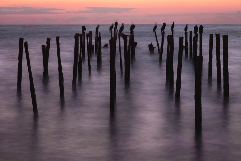 БАКЛАН фото превью