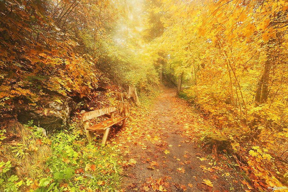 swiss, Матвеев Николай