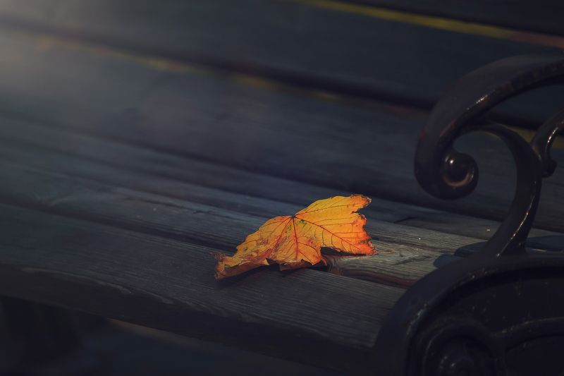 Последнее свидание фото превью