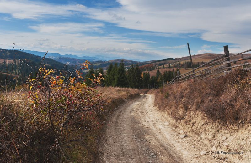 Карпатскими дорогами... фото превью