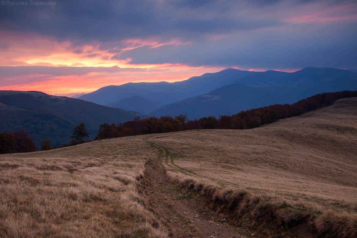 , Ярослав Тюрменко (Jaremi)