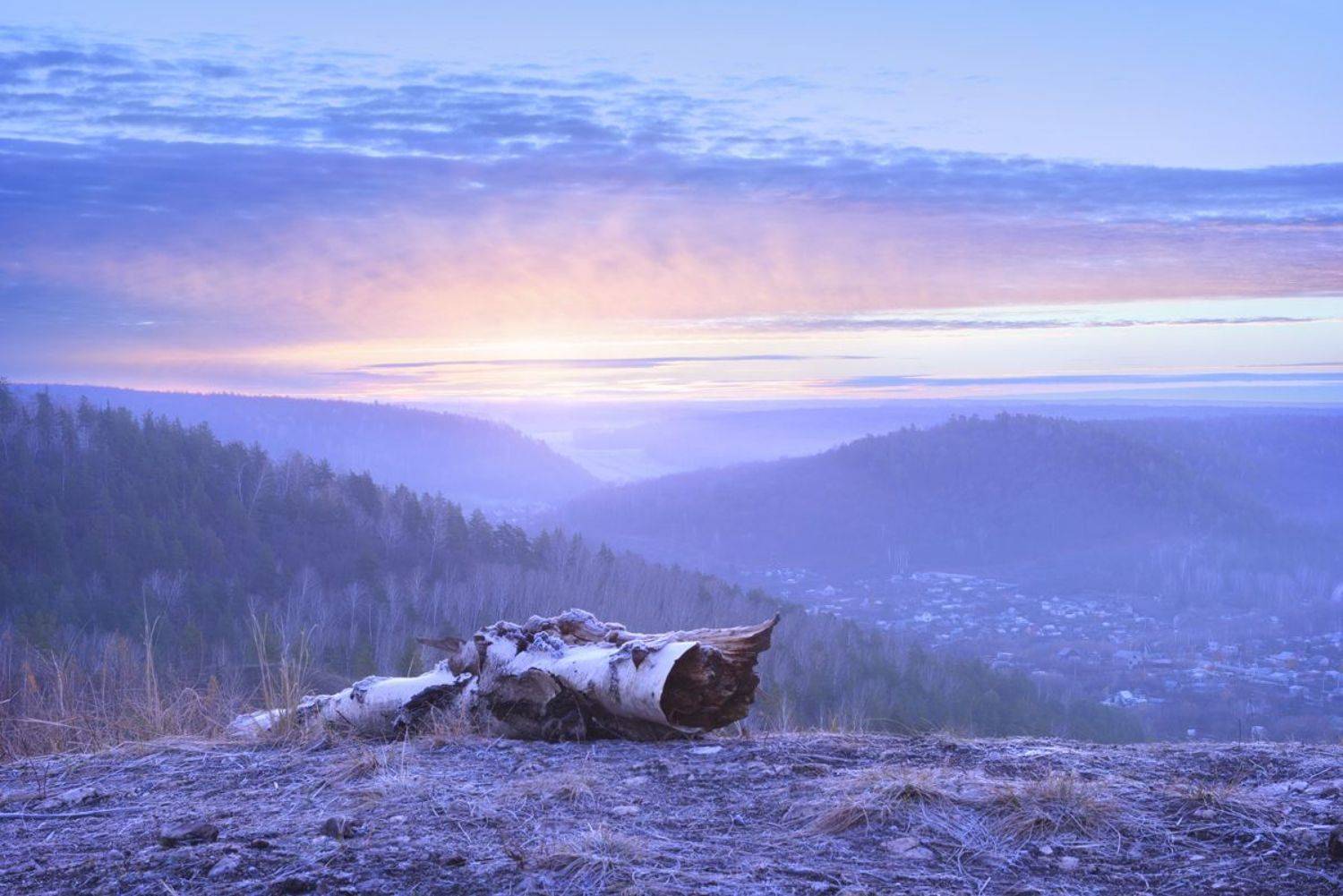 , Александр Тормосин