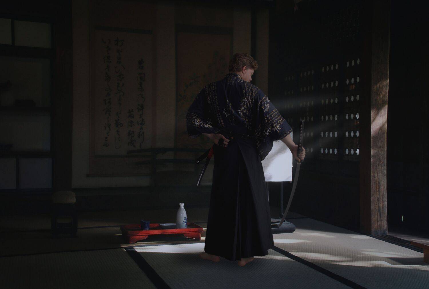 воин, комната, Sergii Vidov