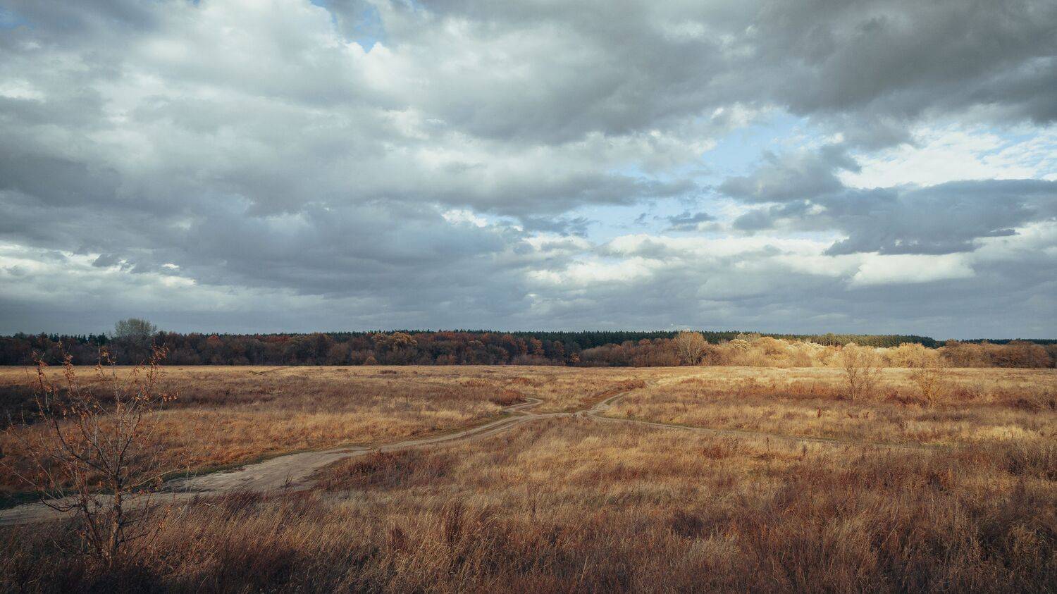 , Юрий Вертиков