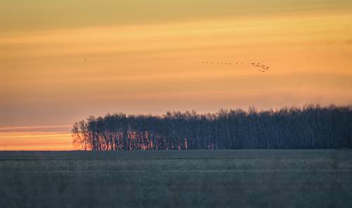 Степь, солнце просыпается..