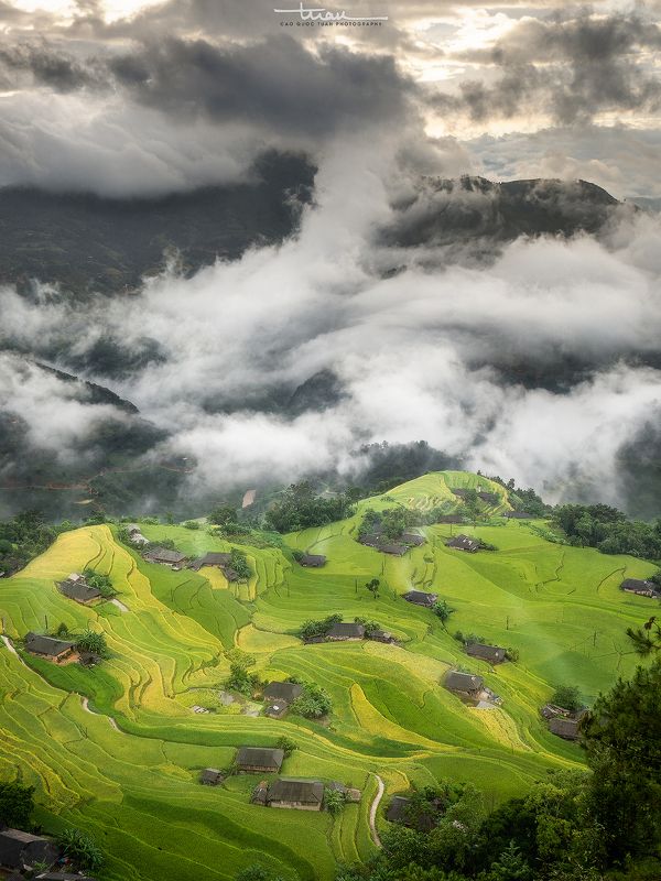 Ban Phung 02 фото превью