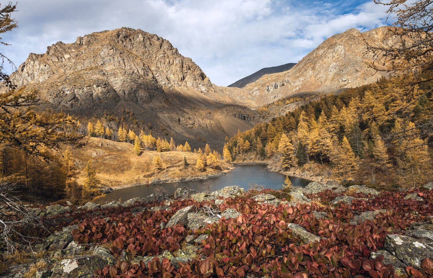 , Юрий Грамаков